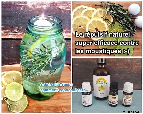 Proven Natural Mosquito Repellent: Grandma s Recipe for a Bite-Free Summer