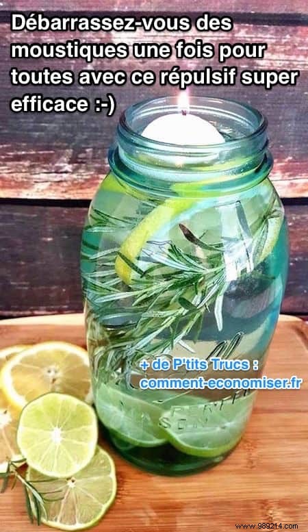 Proven Natural Mosquito Repellent: Grandma s Recipe for a Bite-Free Summer