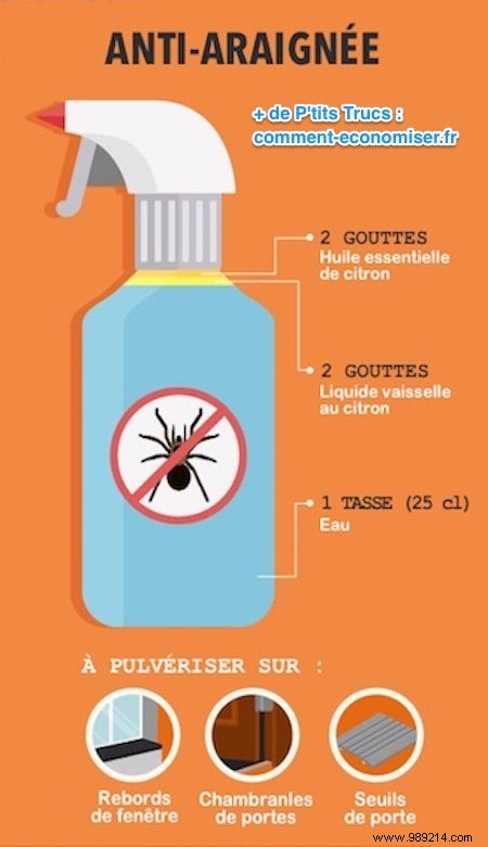 7 Proven Natural Insect Repellents: Safe, Effective Recipes Using Essential Oils