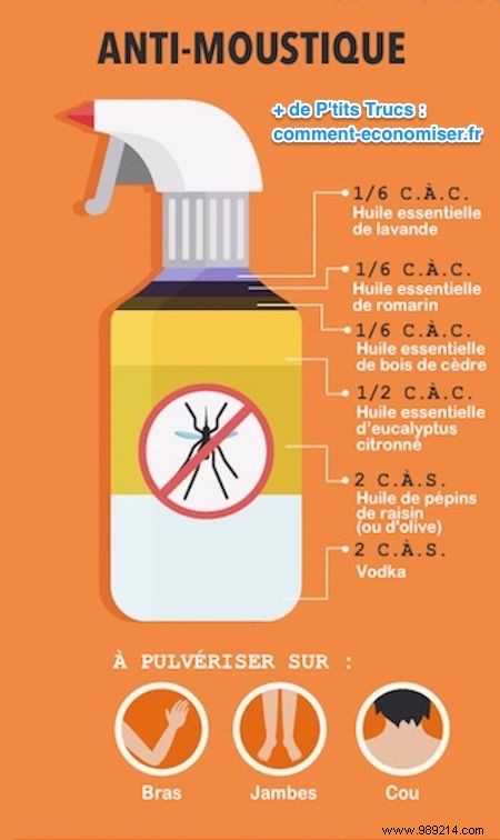 7 Proven Natural Insect Repellents: Safe, Effective Recipes Using Essential Oils