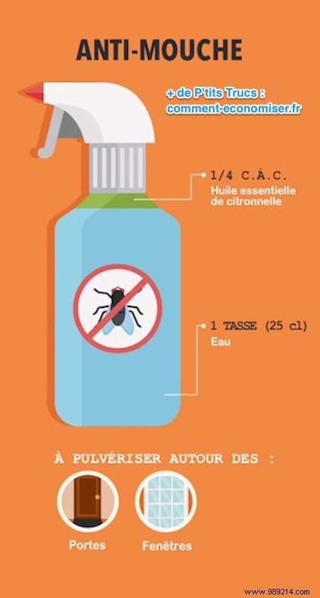 7 Proven Natural Insect Repellents: Safe, Effective Recipes Using Essential Oils