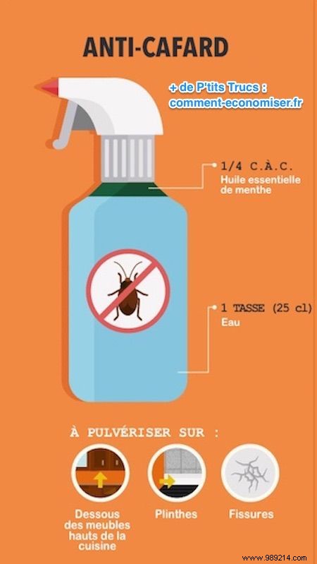7 Proven Natural Insect Repellents: Safe, Effective Recipes Using Essential Oils
