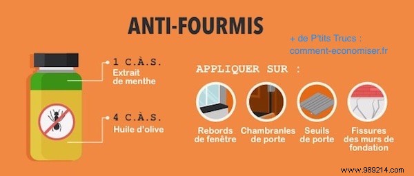 7 Proven Natural Insect Repellents: Safe, Effective Recipes Using Essential Oils