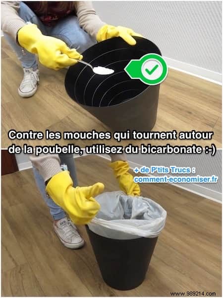 Proven Baking Soda Trick to Banish Flies from Your Trash Can