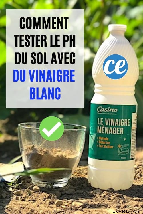 Easy DIY Soil pH Test: Vinegar and Baking Soda Method from a Seasoned Gardener