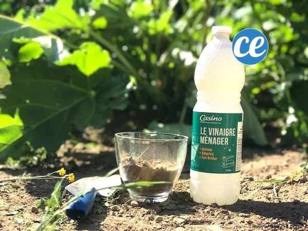 Easy DIY Soil pH Test: Vinegar and Baking Soda Method from a Seasoned Gardener