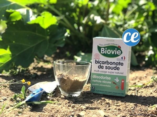 Easy DIY Soil pH Test: Vinegar and Baking Soda Method from a Seasoned Gardener