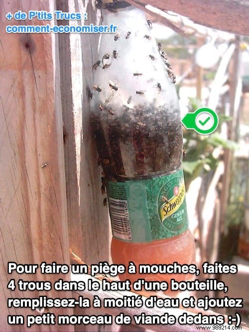 How to Build a Proven DIY Fly Trap Using a Plastic Bottle