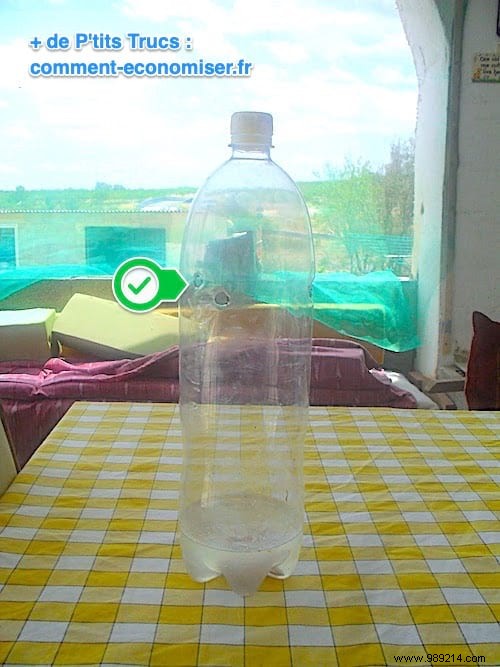 How to Build a Proven DIY Fly Trap Using a Plastic Bottle
