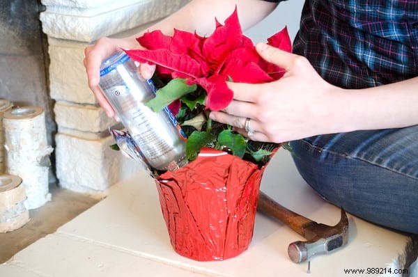 18 Proven Gardening Hacks to Simplify Your Life and Garden Smarter