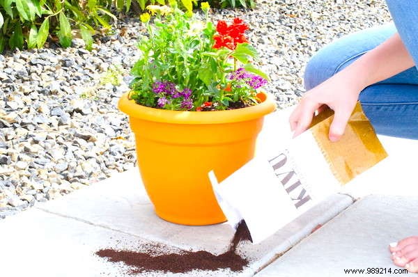 18 Proven Gardening Hacks to Simplify Your Life and Garden Smarter