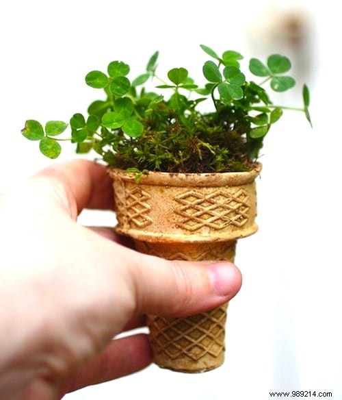 18 Proven Gardening Hacks to Simplify Your Life and Garden Smarter