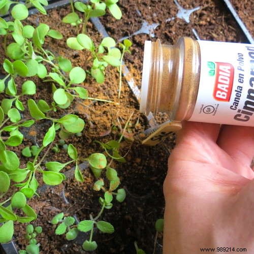 18 Proven Gardening Hacks to Simplify Your Life and Garden Smarter