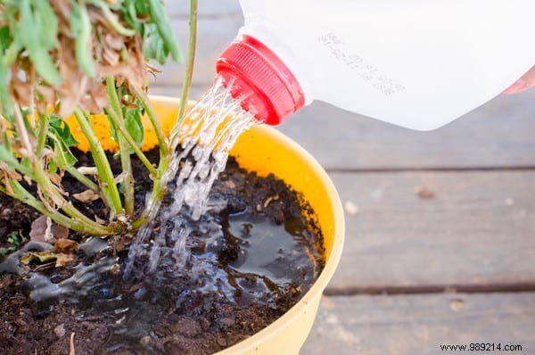 18 Proven Gardening Hacks to Simplify Your Life and Garden Smarter