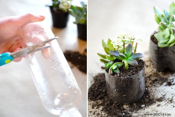 18 Proven Gardening Hacks to Simplify Your Life and Garden Smarter