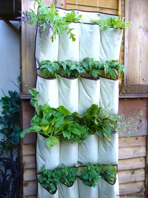 18 Proven Gardening Hacks to Simplify Your Life and Garden Smarter