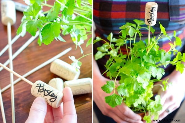 18 Proven Gardening Hacks to Simplify Your Life and Garden Smarter