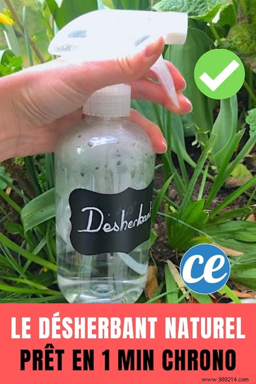 Skip Roundup: Make a Natural Weed Killer in Just 1 Minute