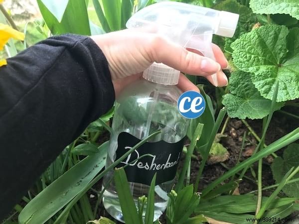 Skip Roundup: Make a Natural Weed Killer in Just 1 Minute