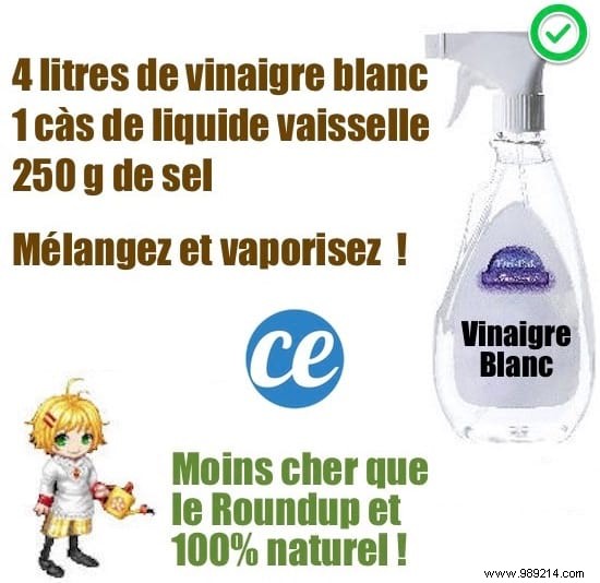 Skip Roundup: Make a Natural Weed Killer in Just 1 Minute