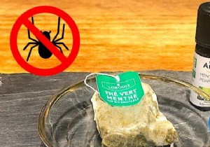 Natural Spider Repellent: Mint Tea Bags for a Pest-Free Home