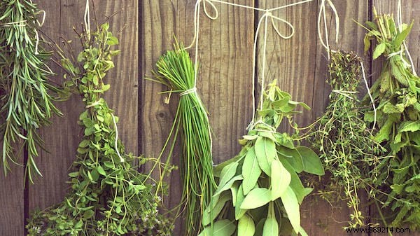 13 Common Mistakes to Avoid for Thriving Homegrown Herbs