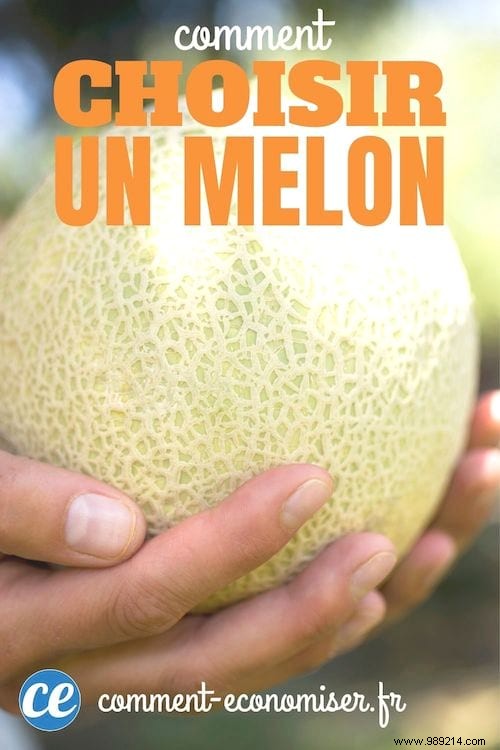 10 Proven Tips for Growing Sweet, Juicy Melons in Your Home Garden