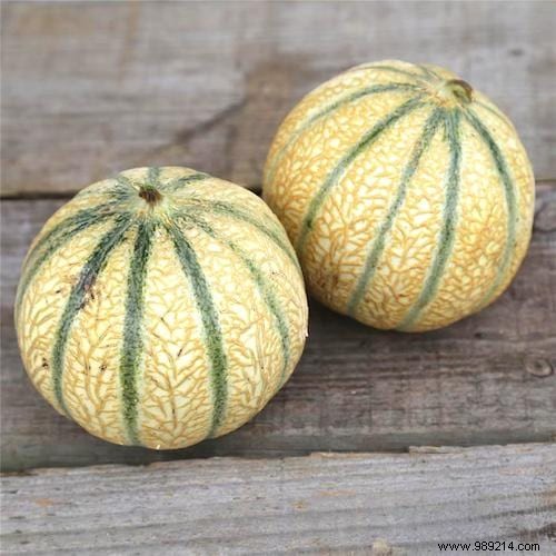 10 Proven Tips for Growing Sweet, Juicy Melons in Your Home Garden