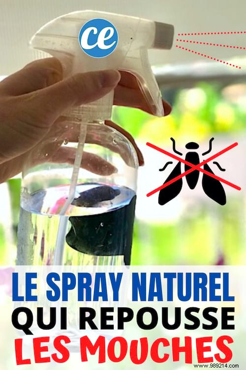 Effective DIY Fly Repellent Spray: Natural Vinegar and Cinnamon Recipe