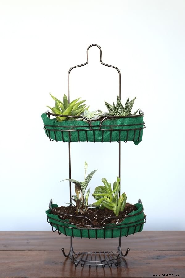 14 Proven Home Gardening Hacks to Simplify Planting and Care