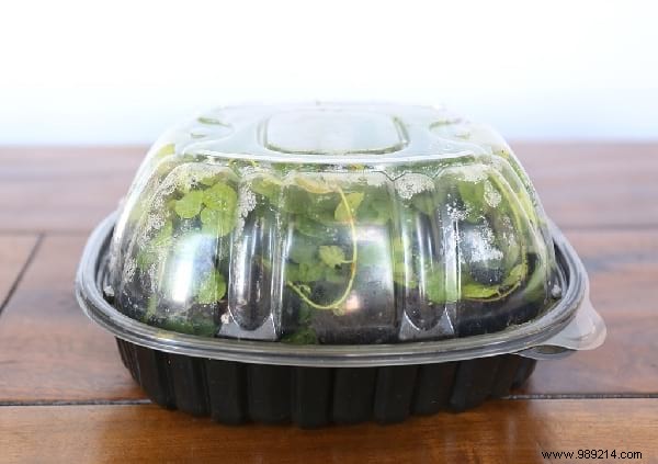 14 Proven Home Gardening Hacks to Simplify Planting and Care