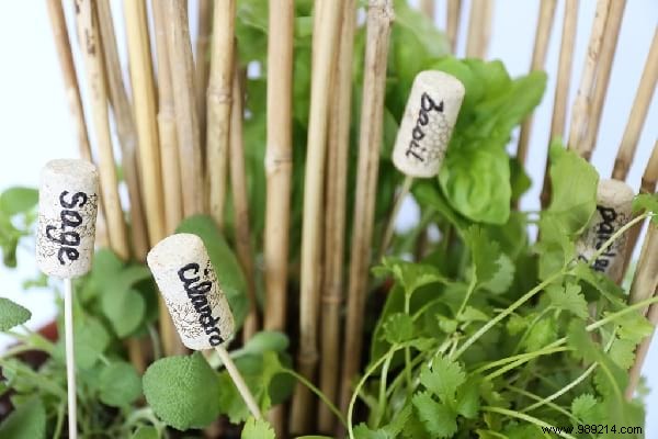 14 Proven Home Gardening Hacks to Simplify Planting and Care