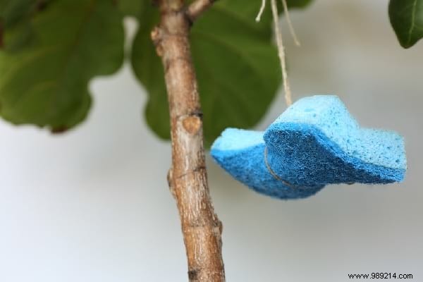 14 Proven Home Gardening Hacks to Simplify Planting and Care