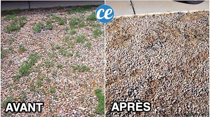 Kill Weeds in Gravel Naturally: Simple Salt, Vinegar, and Boiling Water Recipe