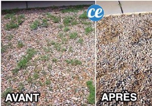 Kill Weeds in Gravel Naturally: Simple Salt, Vinegar, and Boiling Water Recipe