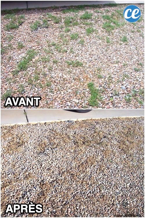 Kill Weeds in Gravel Naturally: Simple Salt, Vinegar, and Boiling Water Recipe