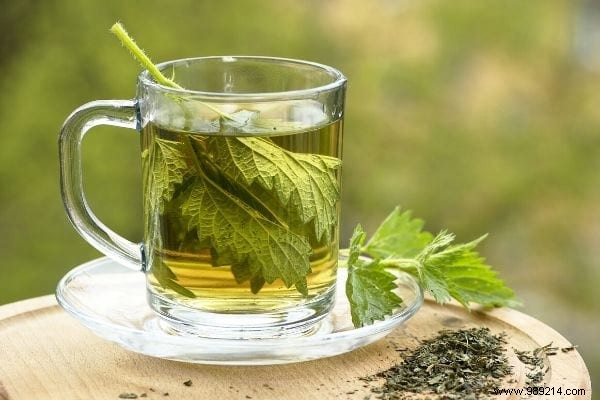 10 Proven Uses for Stinging Nettle: Garden Ally, Kitchen Superfood, and More