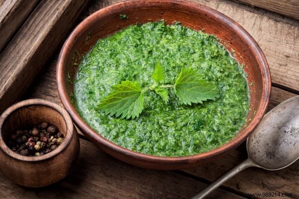 10 Proven Uses for Stinging Nettle: Garden Ally, Kitchen Superfood, and More