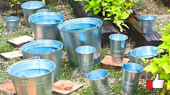 23 Proven Gardening Tips to Conserve Water and Keep Your Garden Thriving