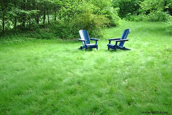 23 Proven Gardening Tips to Conserve Water and Keep Your Garden Thriving