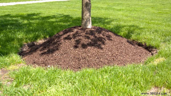 23 Proven Gardening Tips to Conserve Water and Keep Your Garden Thriving