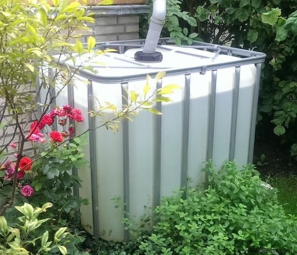 23 Proven Gardening Tips to Conserve Water and Keep Your Garden Thriving