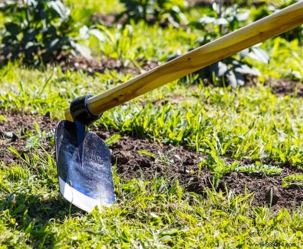 23 Proven Gardening Tips to Conserve Water and Keep Your Garden Thriving
