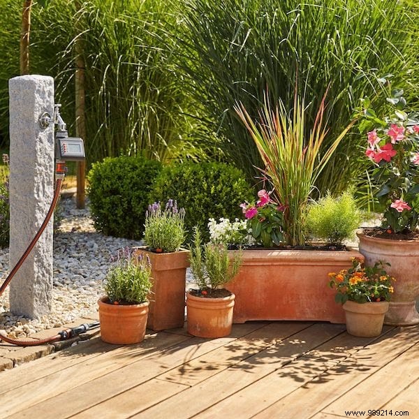23 Proven Gardening Tips to Conserve Water and Keep Your Garden Thriving