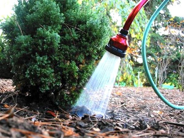 23 Proven Gardening Tips to Conserve Water and Keep Your Garden Thriving