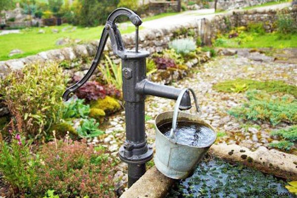 23 Proven Gardening Tips to Conserve Water and Keep Your Garden Thriving