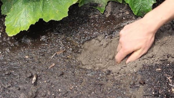 23 Proven Gardening Tips to Conserve Water and Keep Your Garden Thriving