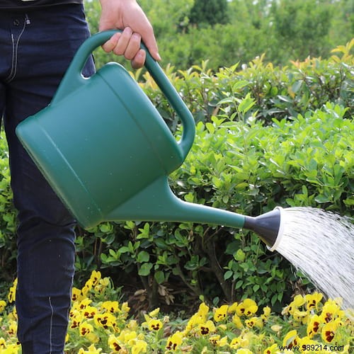 23 Proven Gardening Tips to Conserve Water and Keep Your Garden Thriving