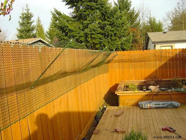 9 Proven, Humane Ways to Keep Cats Out of Your Garden Permanently