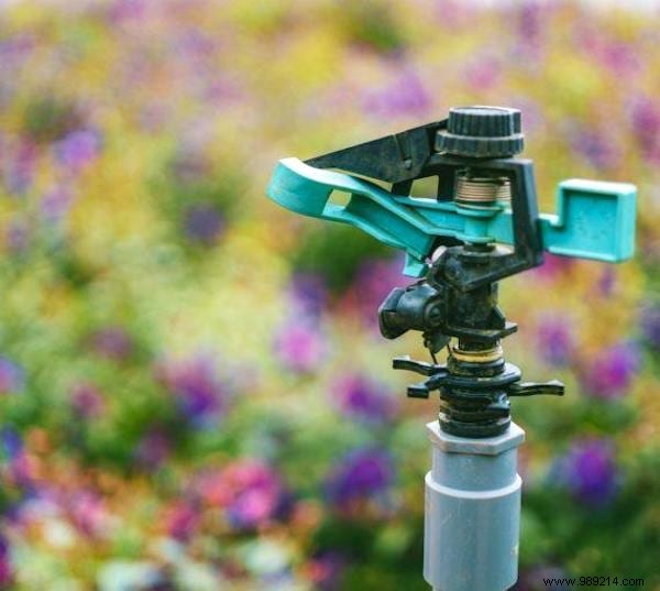 9 Proven, Humane Ways to Keep Cats Out of Your Garden Permanently